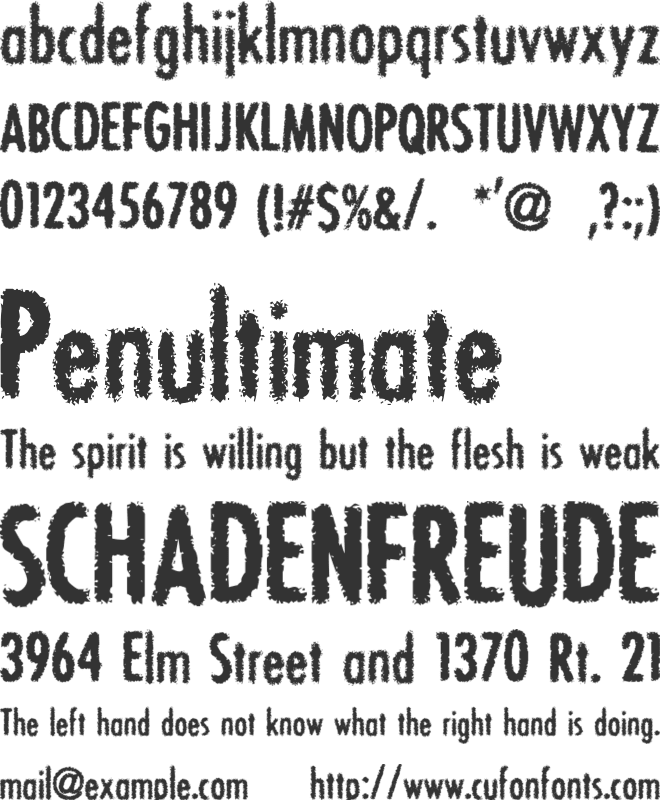 BON ViVEUR font preview