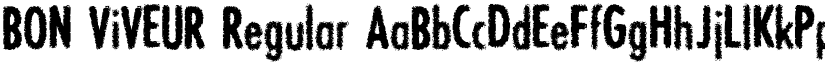 BON ViVEUR Regular font