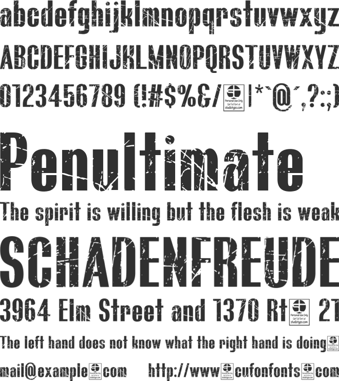 BLUEFISH SCRATCHED Demo font preview