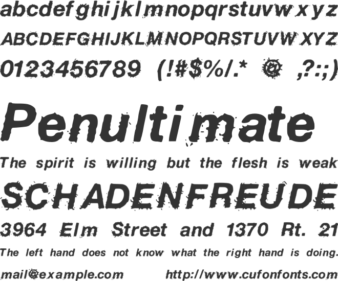 BirdFly font preview