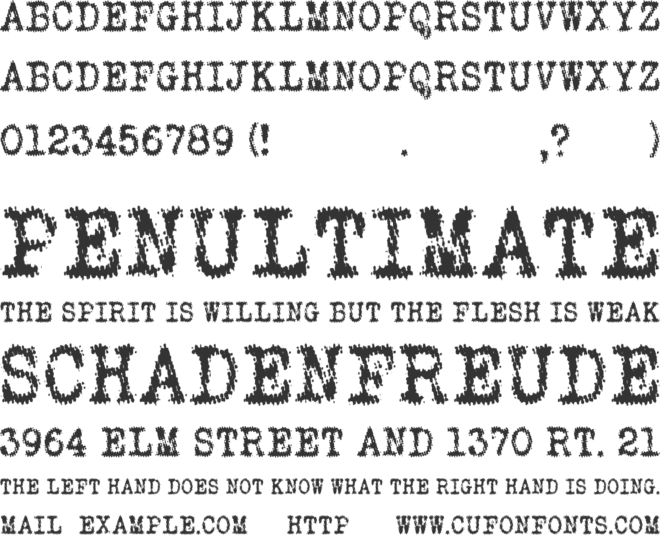 WHO AM I font preview