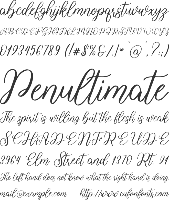 Angelina font preview