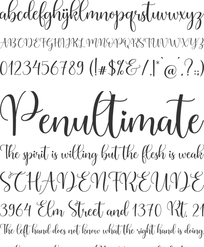 Serinah font preview