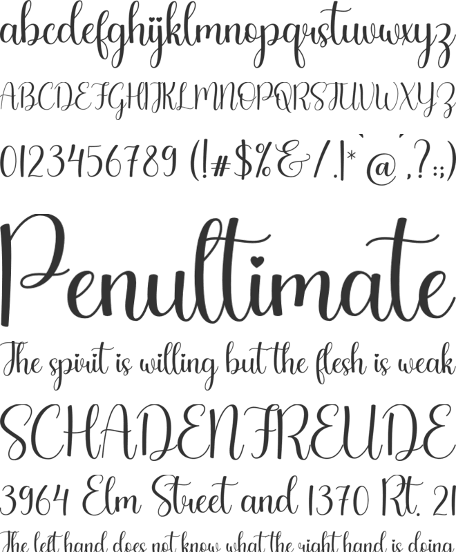 Barkelia font preview