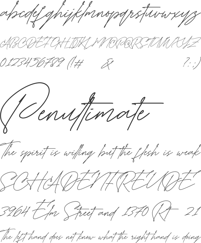 Manchester font preview