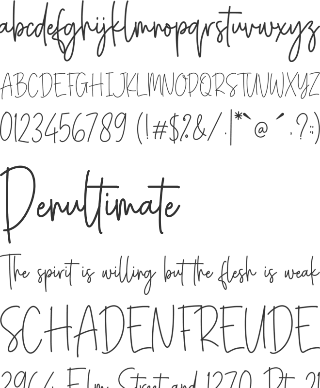 Confidente font preview
