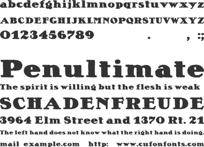 Lietz Alexander Nero font preview