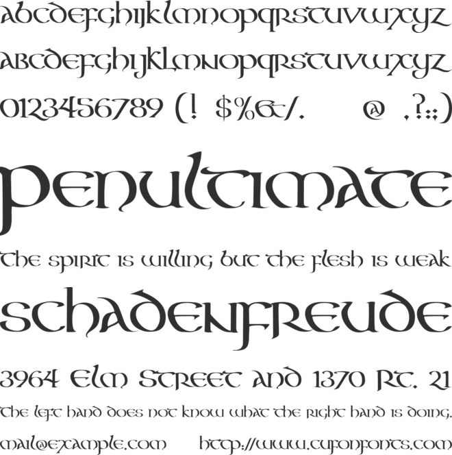 Aon Cari Celtic font preview