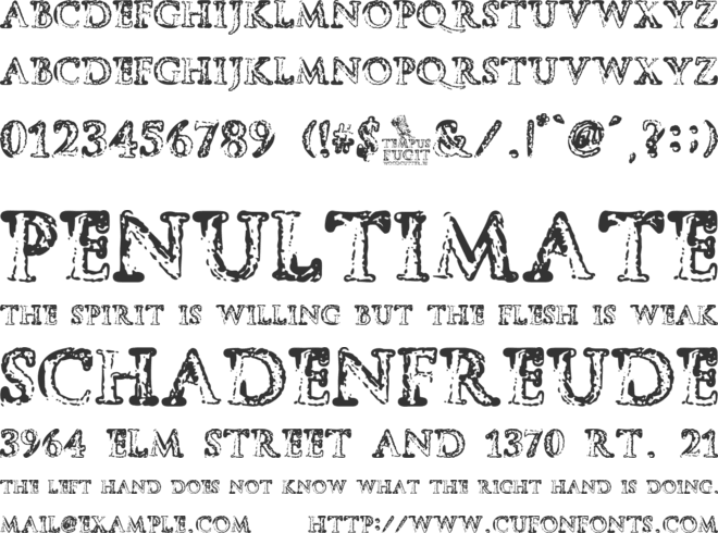 Tempus Fugit font preview