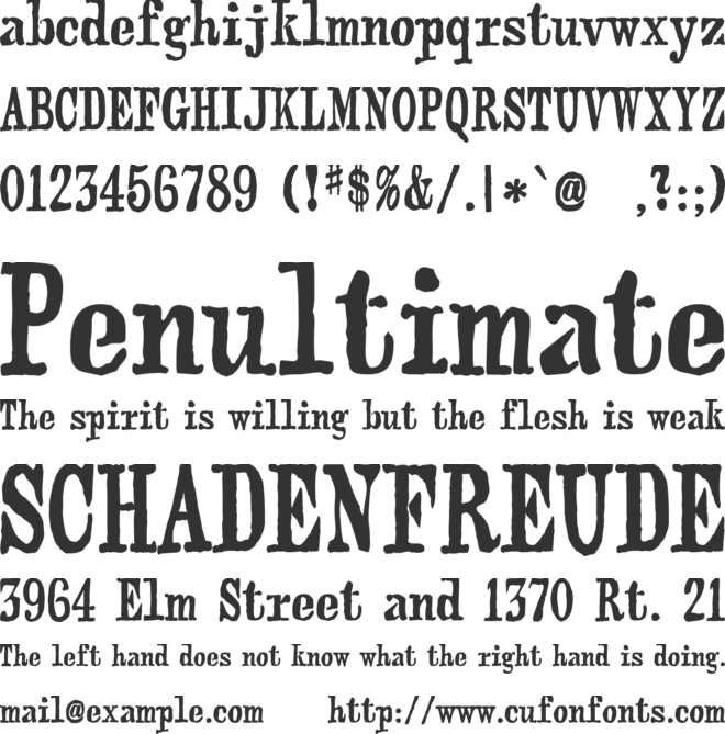 webster font preview