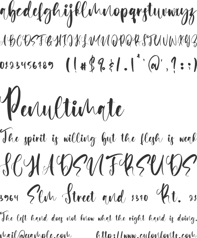 Matchbook font preview