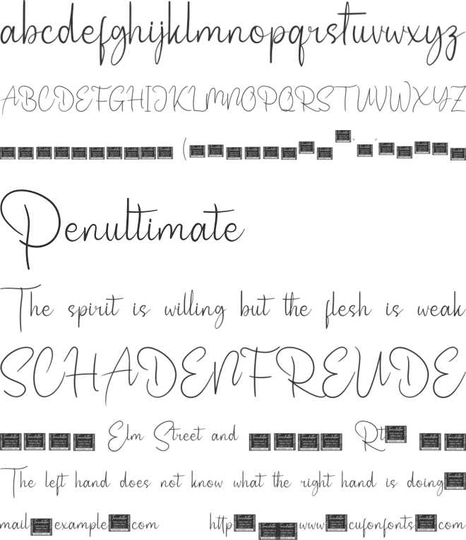Nettally font preview