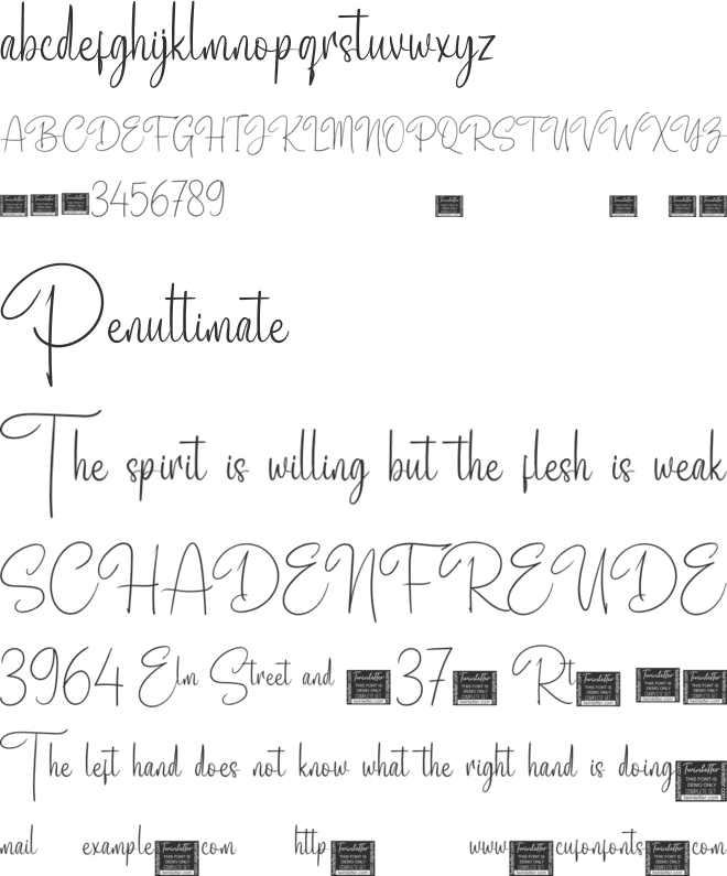Adigussto font preview