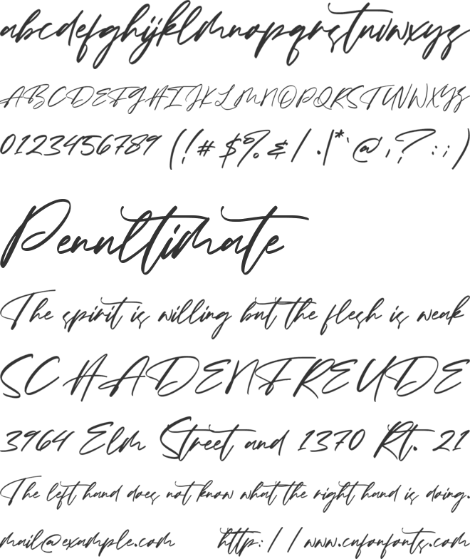 Maidstone font preview