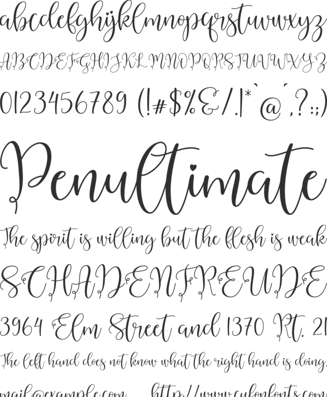 Abygail font preview