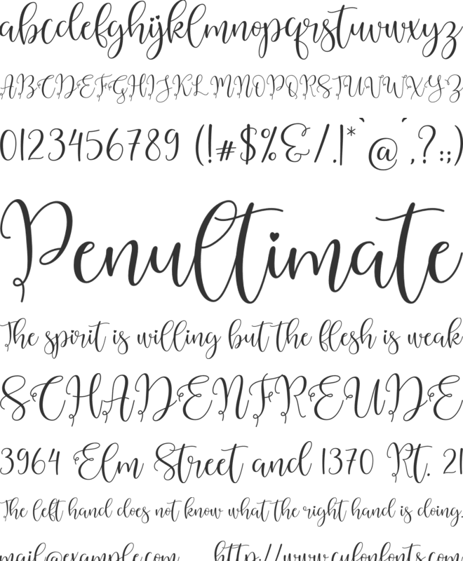 Abygail font preview