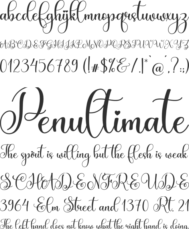 Maddison font preview