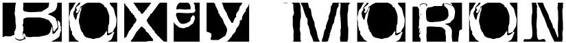 boxey moron Regular font