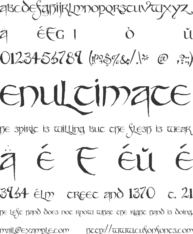 Party Business font preview