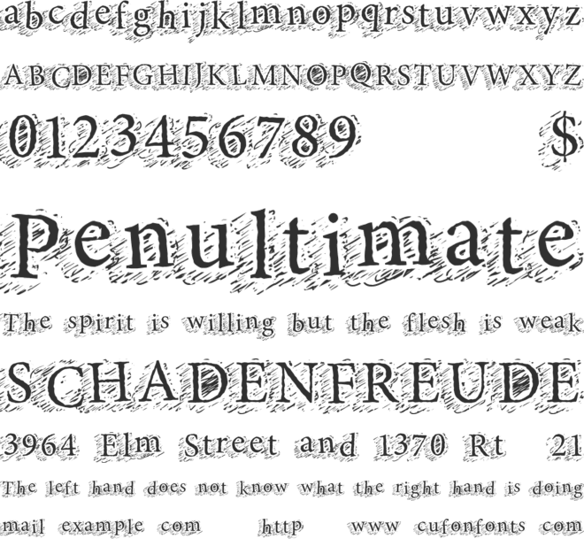 SwiftChops font preview