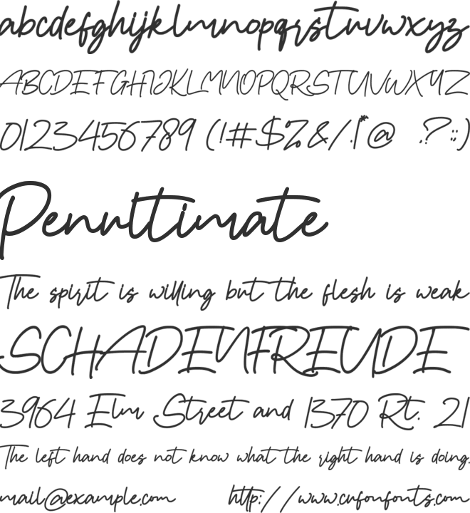 Hany Petter font preview