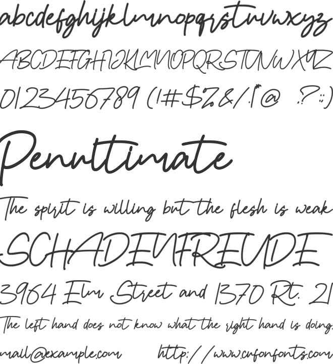 Hany Petter font preview