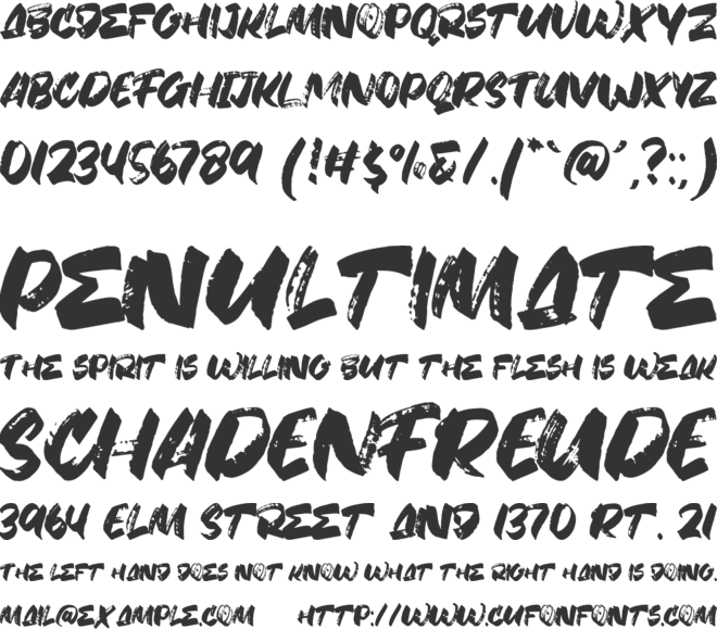 Fany Brush font preview