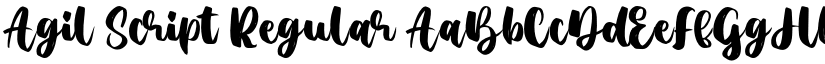 Agil Script Regular font