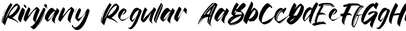 Rinjany Regular font