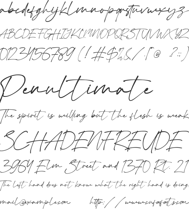 Virgi Theory font preview