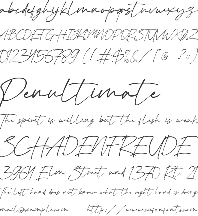 Virgi Theory font preview