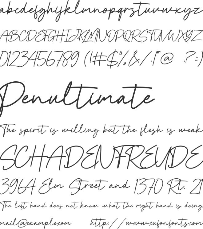 Cinta Monyett font preview