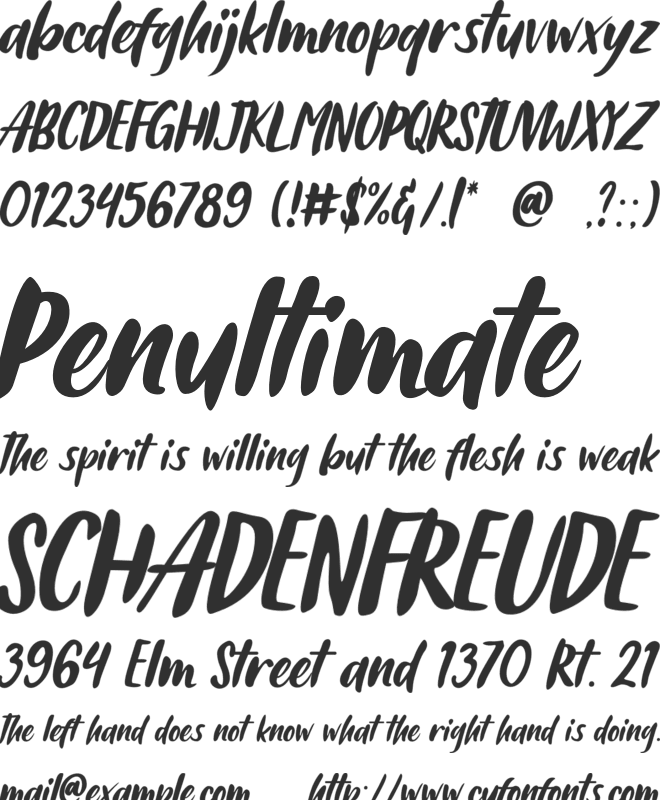 Ahmad Sutomi font preview