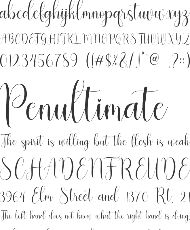 Magenta font preview