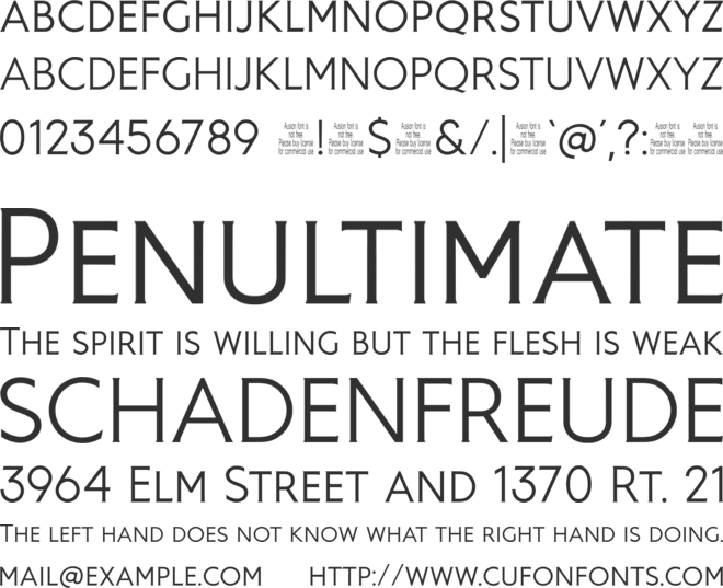 Ausion Personal Use font preview