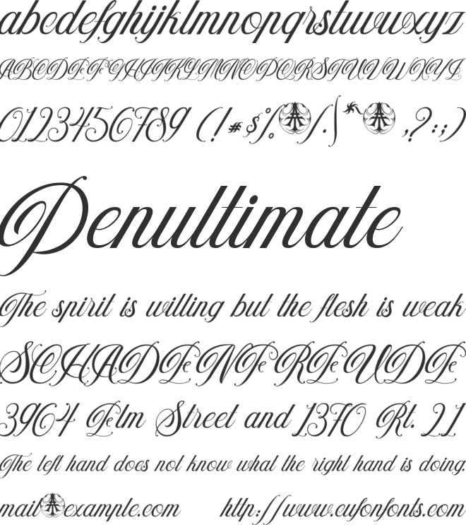 Trifasciata Personal Use Only font preview