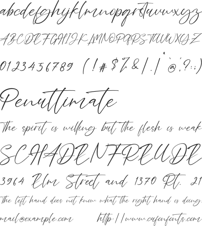 Lovelly Amsterdam font preview