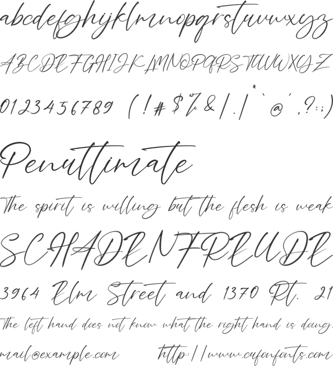 Lovelly Amsterdam font preview