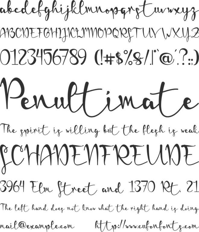 Stevania-PERSONAL USE font preview