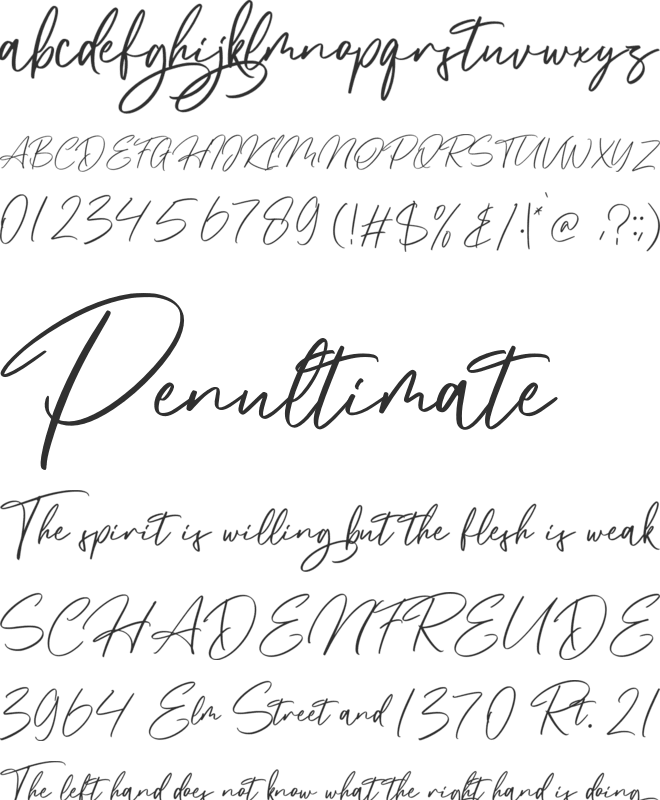Maginted font preview