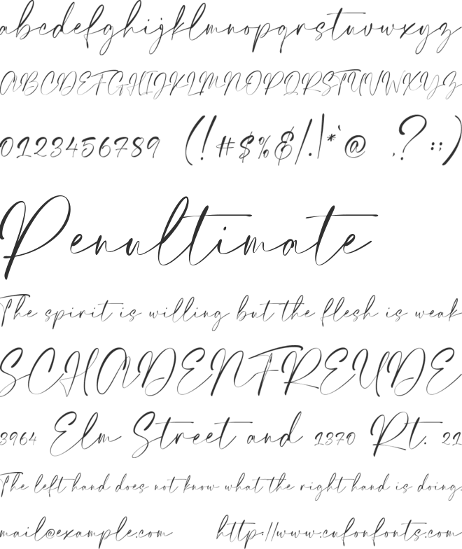 Elegant Signature font preview