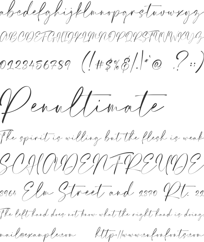 Elegant Signature font preview