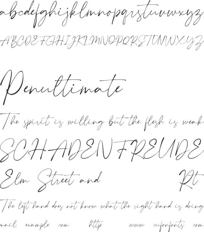 Plumrose Signature font preview