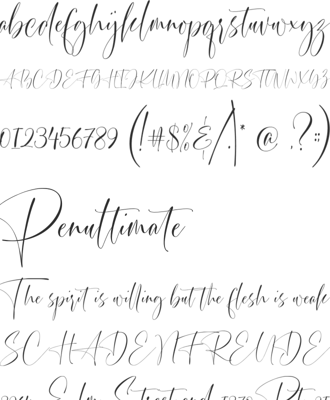 Simplified font preview