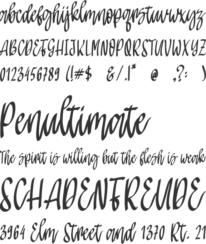 Miguelno Carlota font preview