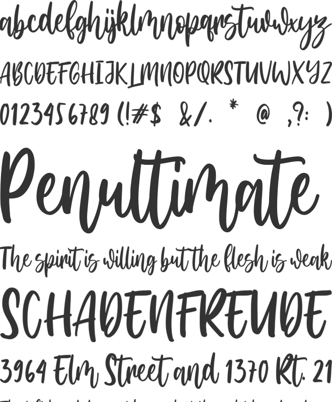 Amerta Wilson font preview