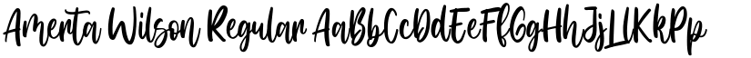 Amerta Wilson Regular font
