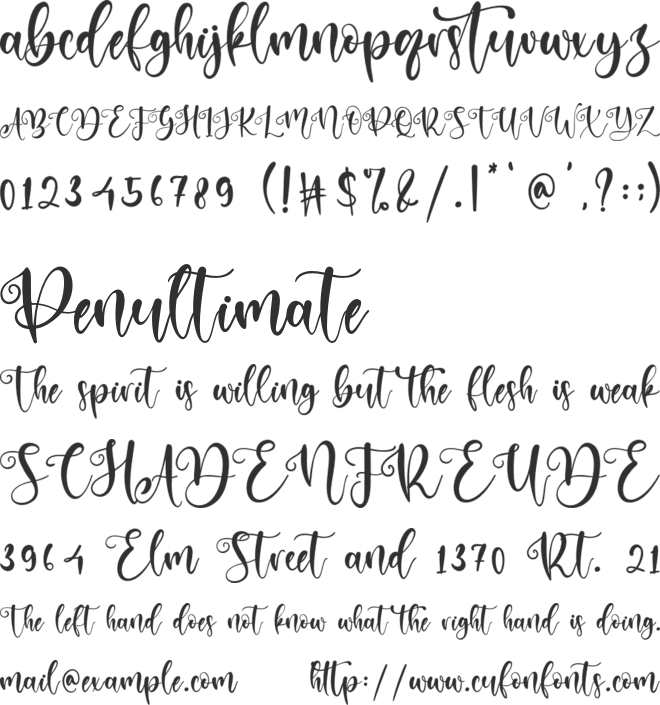 Absollute font preview