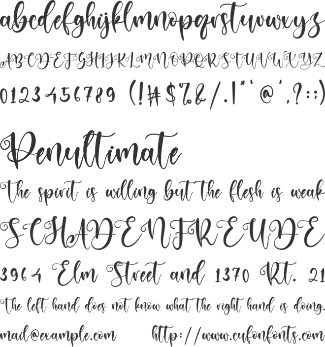 Absollute font preview