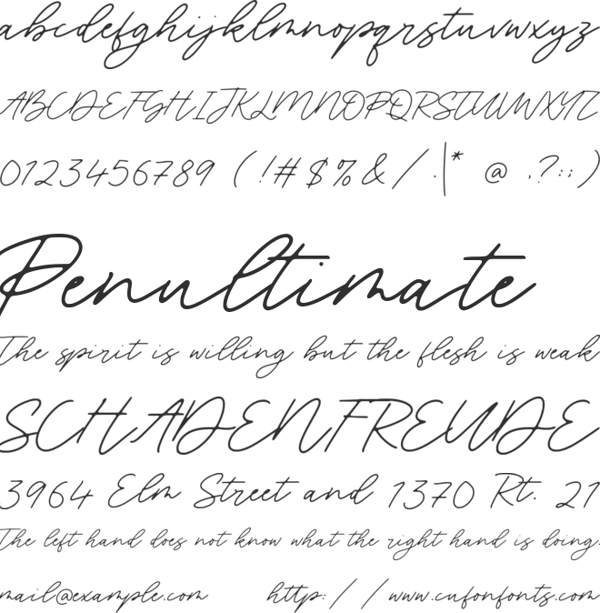 Blackswan font preview